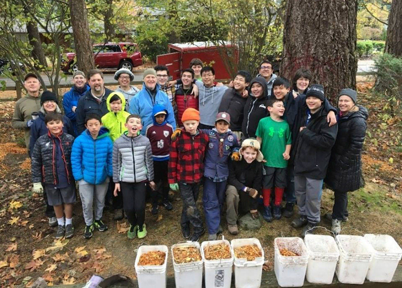 Scouts are volunteering their time to improve First Hill Park. Photo courtesy of Mercer Island Parks and Recreation