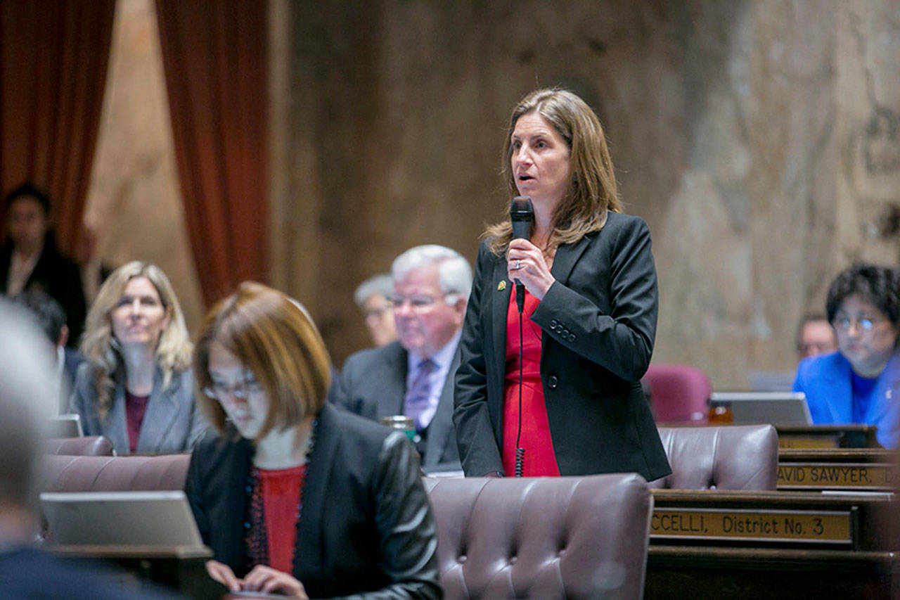 Rep. Tana Senn speaks on equal pay in February 2016. Courtesy photo