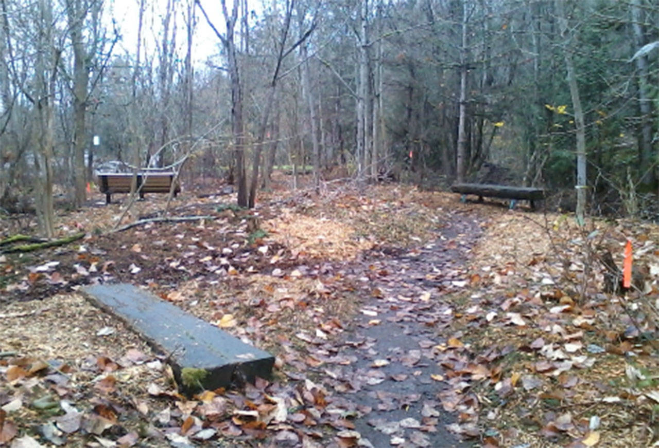 Members of Concerned Citizens for Mercer Island Parks retrieved the third bench (on the right in the photo), that was originally in the Mercerdale Park Native Garden, and returned it . Photo courtesy of Meg Lippert