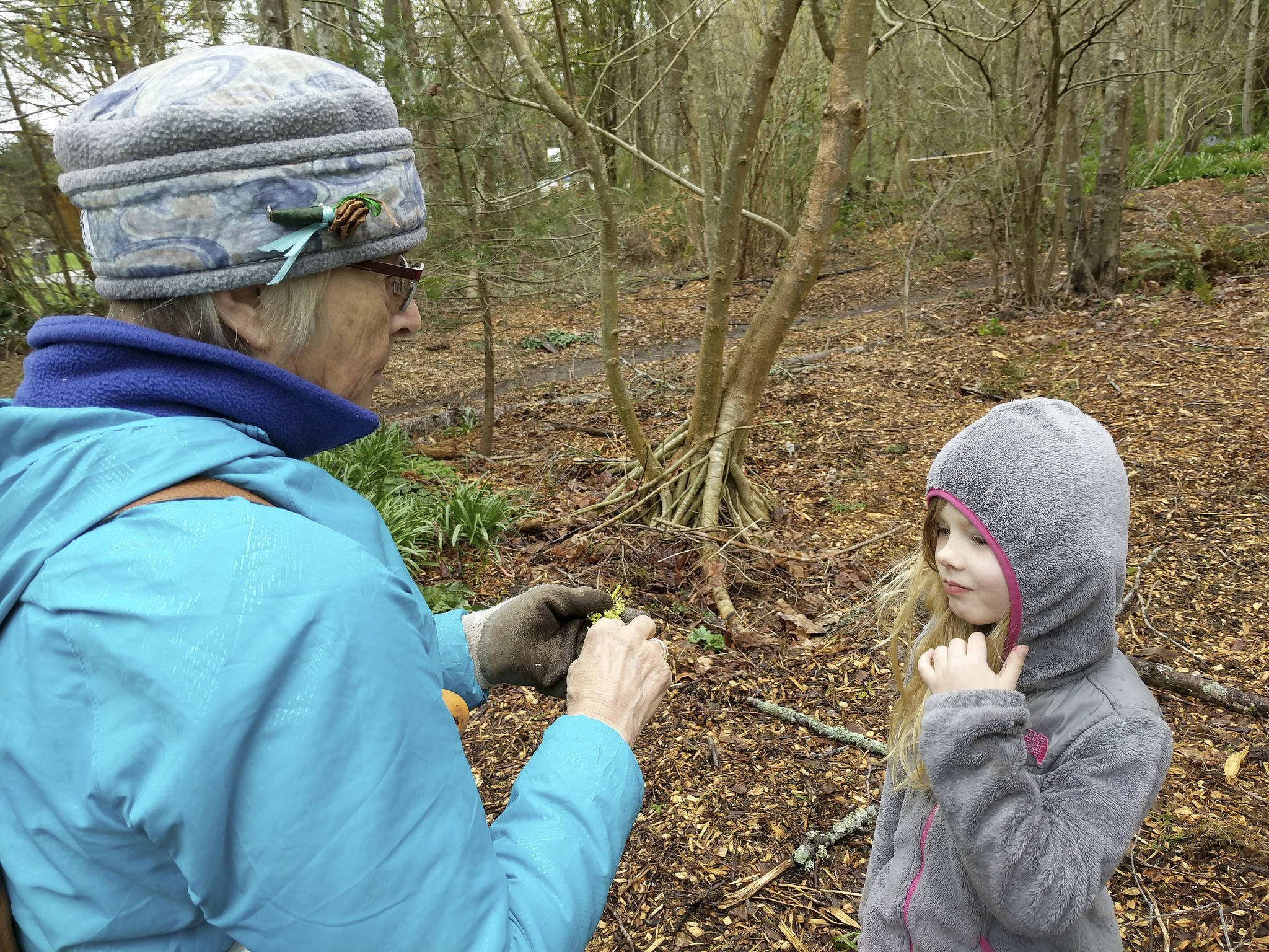 Six year old Laura Drake, who is so passionate about plants that she named her rescue cats Daisy and Daffodil, has been training as a Junior Naturalist in the Native Garden.