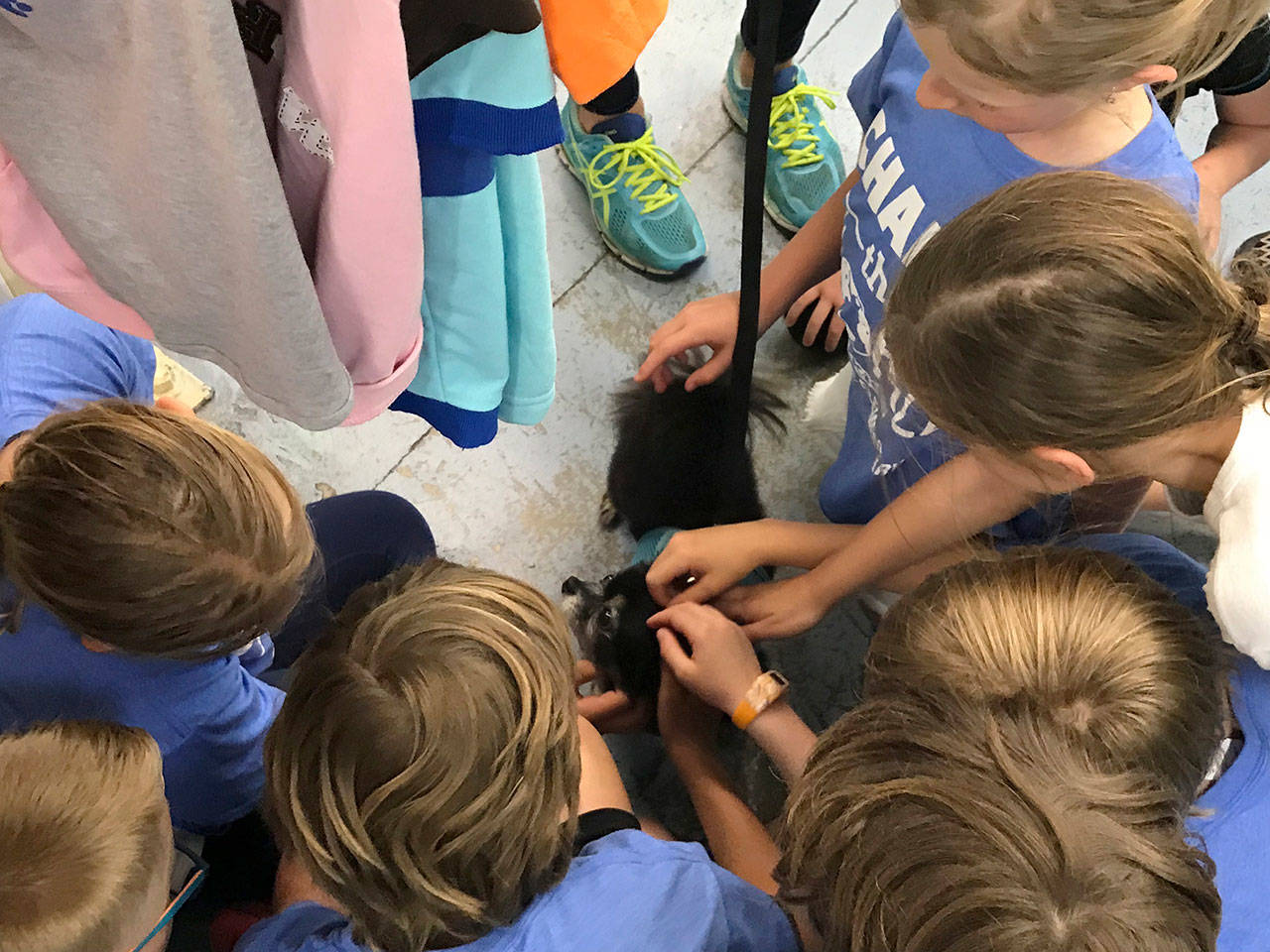 K-Kids members surround a shelter pup with love at Homeward Pet, after conducting a supply drive for the shelter. Photo courtesy of Julia Hokanson