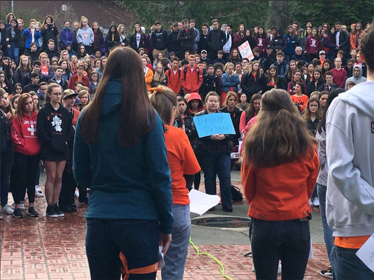 Rep. Tana Senn captured the scene as Mercer Island High School students participated in a walkout for gun control on March 14. The city of Mercer Island declared that June 1 will be National Gun Violence Awareness Day. Photo via Twitter