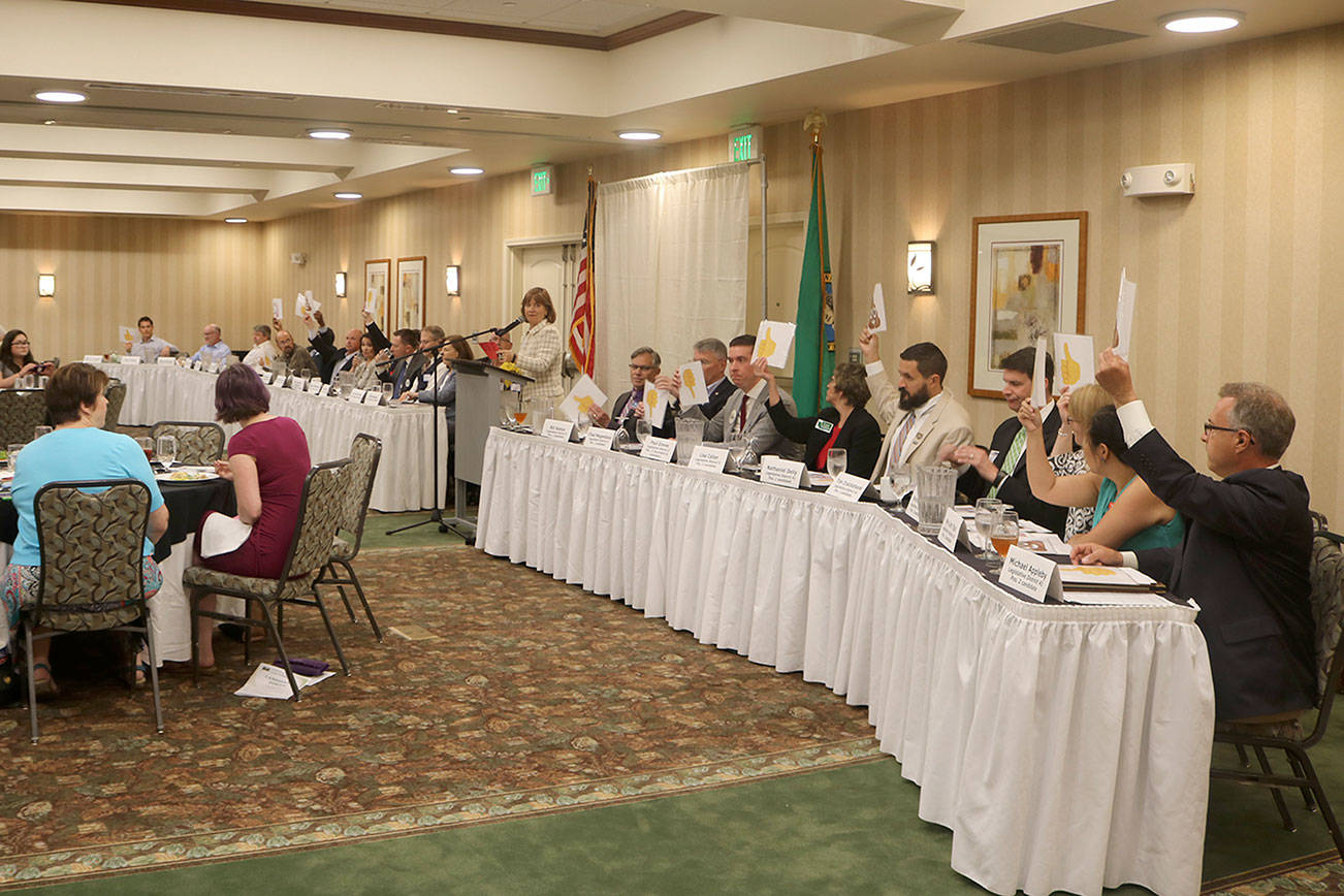 Issaquah Chamber of Commerce hosts primary election candidate forum