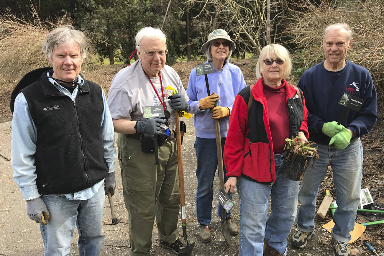 Photo by Meg Lippert                                 Volunteers prepare for planting native species from King County Conservation District in the Mercerdale Park Native Plant Garden. From left, Patrick Daugherty, George and Roberta Lewandowski, Rita Moore and Al Lippert.