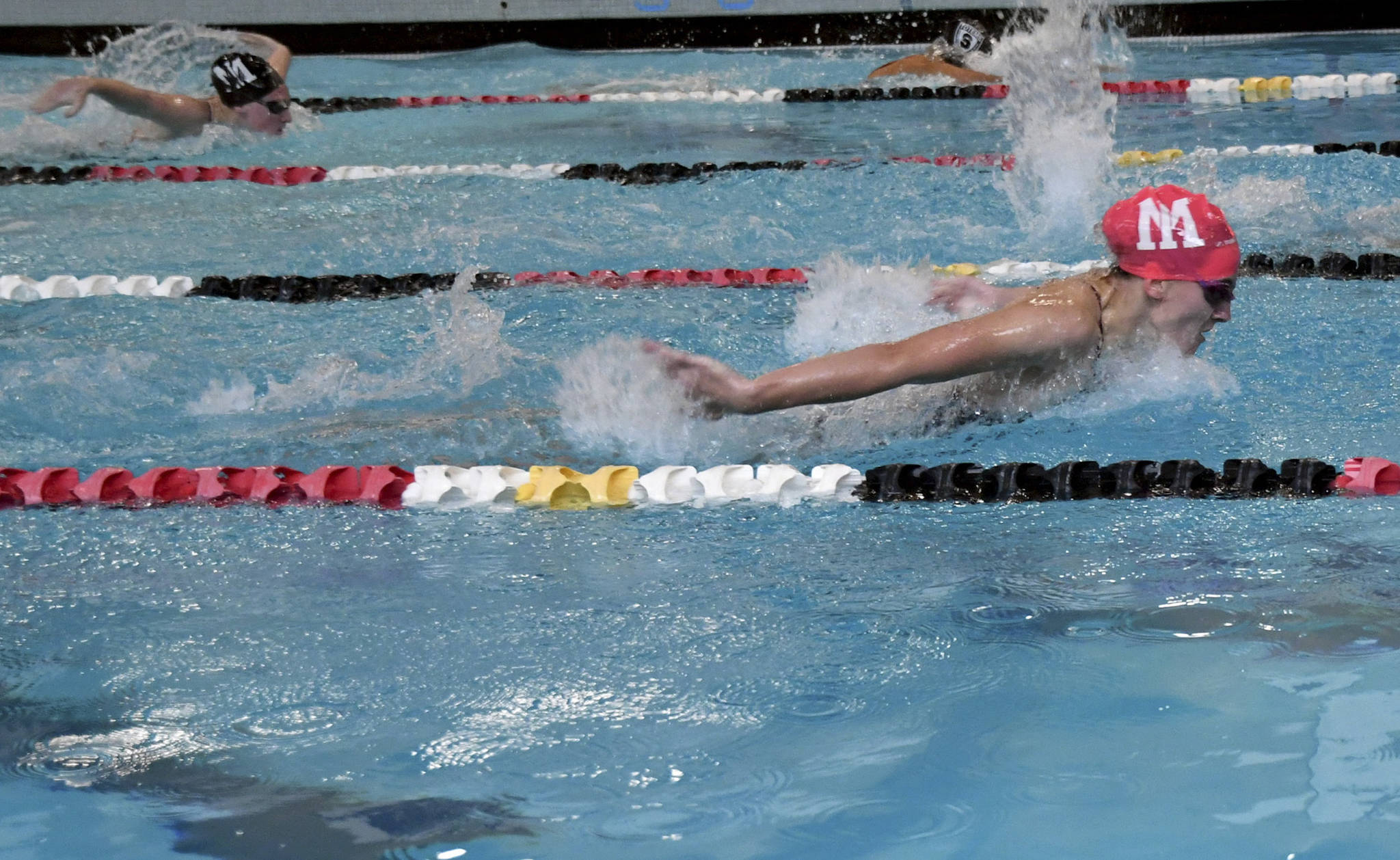 Mercer Island senior Ellie Bailey (pink cap) and sophomore Austin Whelan (black cap) swim the 200-meter individual medley during the Islanders victory over Sammamish on Oct. 3. Photo courtesy of Allison Nelson