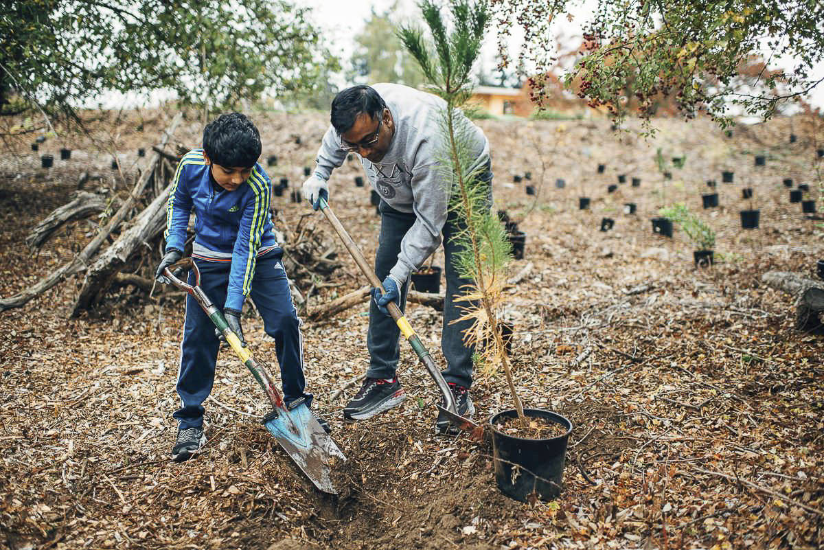 Courtesy photo                                Volunteers plant trees at the Mercer Island’s 2018 inaugural Arbor Day celebration.