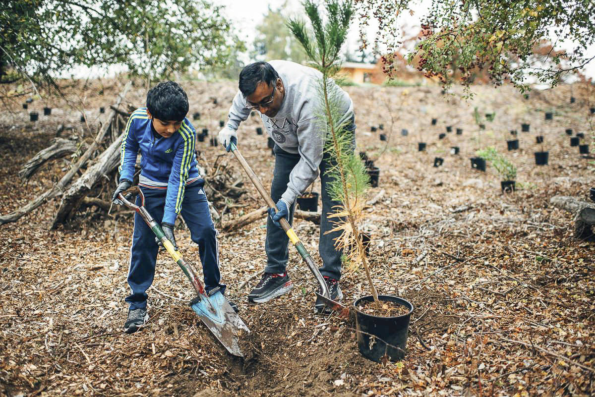 Courtesy photo                                Volunteers plant trees at the Mercer Island’s 2018 inaugural Arbor Day celebration.