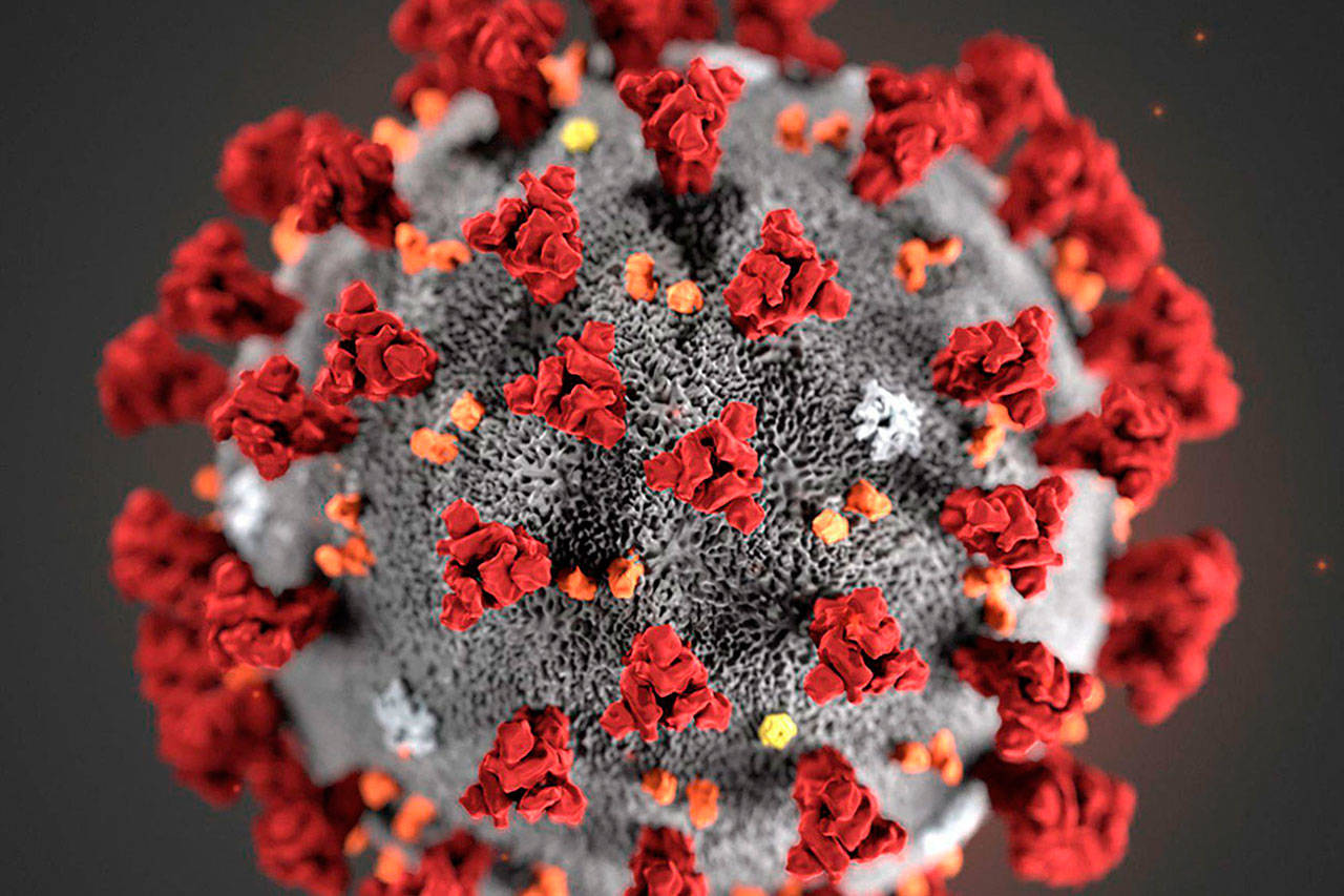 This illustration provided by the Centers for Disease Control and Prevention shows COVID-19, the 2019 Novel Coronavirus.