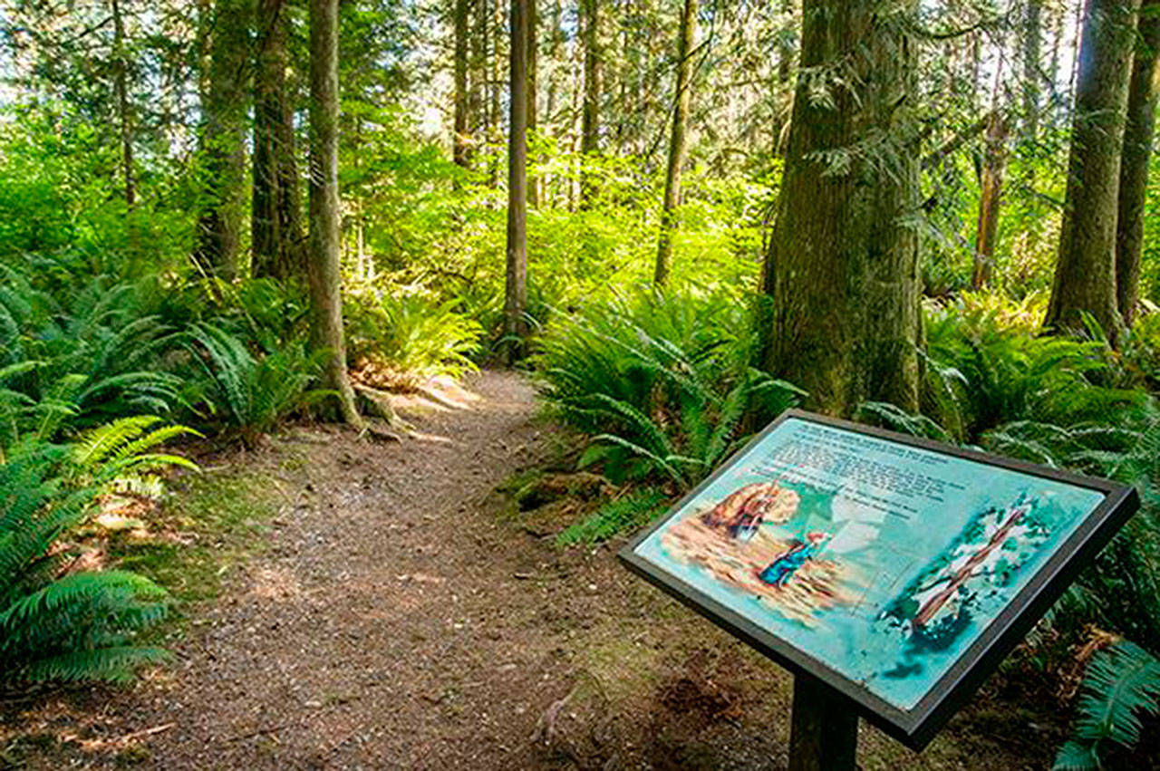 State Parks like Squawk Mountain, pictured above, will remain closed through at least May 4. Image courtesy Washington State Parks