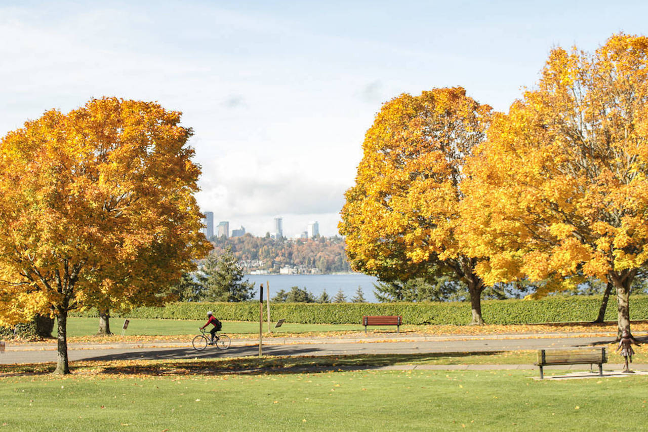 Aubrey Davis Park on Mercer Island in fall. Natalie DeFord/staff photo