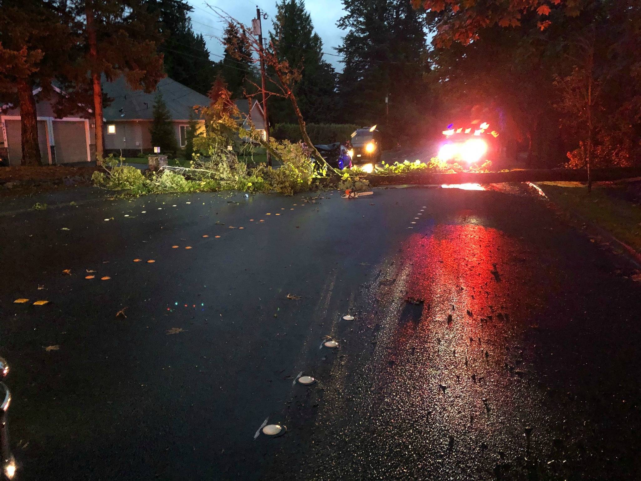The Mercer Island Fire Department cleared a large maple tree from Island Crest Way just south of Southeast 40th Street on Oct. 10, according to the department’s Facebook page. The fallen tree blocked all lanes and struck a vehicle’s hood. The driver was uninjured. The department received a dispatch call at 7:02 a.m. and the last unit cleared the scene at 7:44 a.m., according the department. Crews used a chain saw to clear the tree from the roadway and notified the on-duty public works person so they could respond for debris clean up. A cause for the incident was not listed, but it is suspected to be wind and saturated ground from the rain. Courtesy of the Mercer Island Fire Department Facebook page
