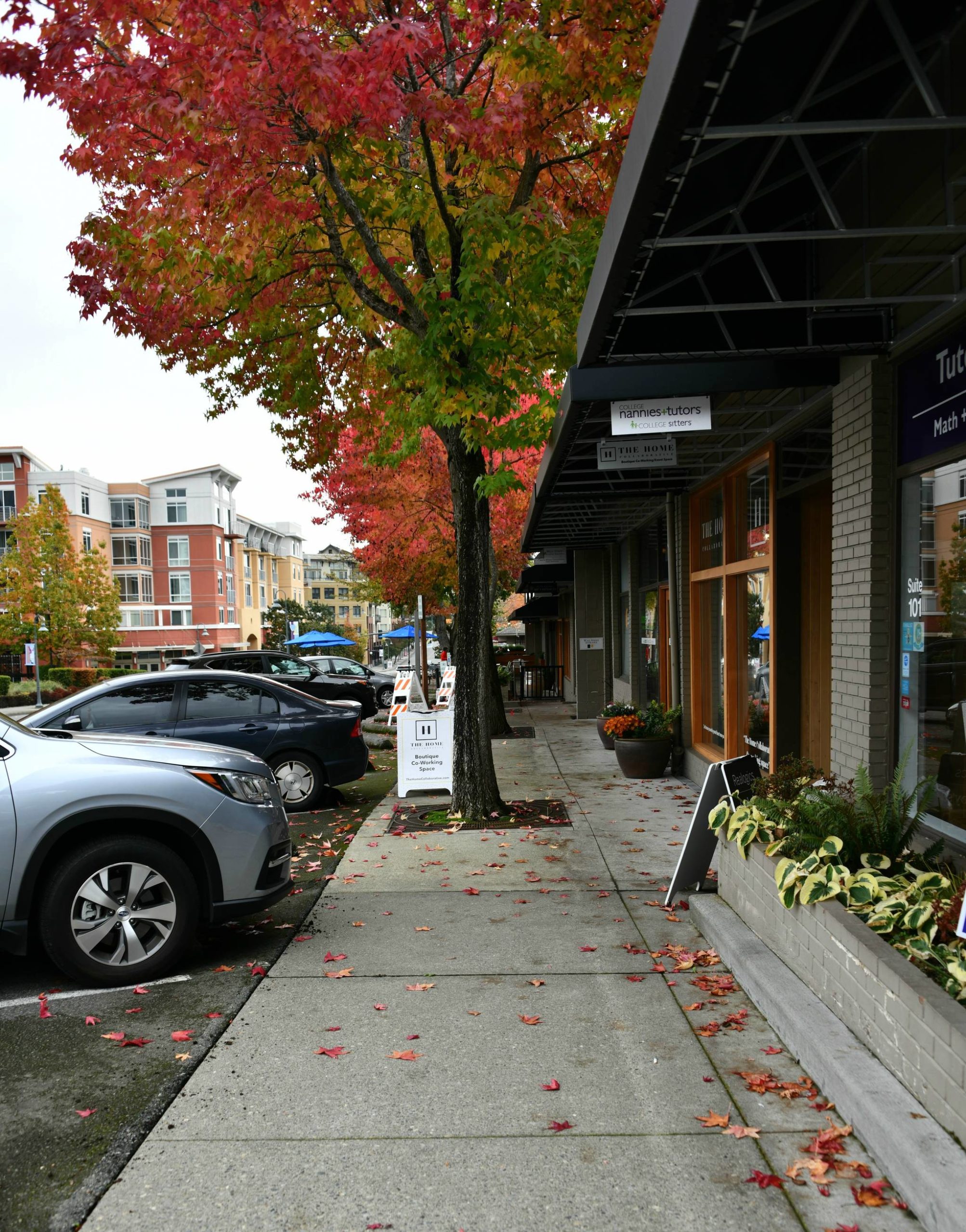 Colorful fall leaves flank downtown Mercer Island businesses on Oct. 22. Andy Nystrom/ Reporter