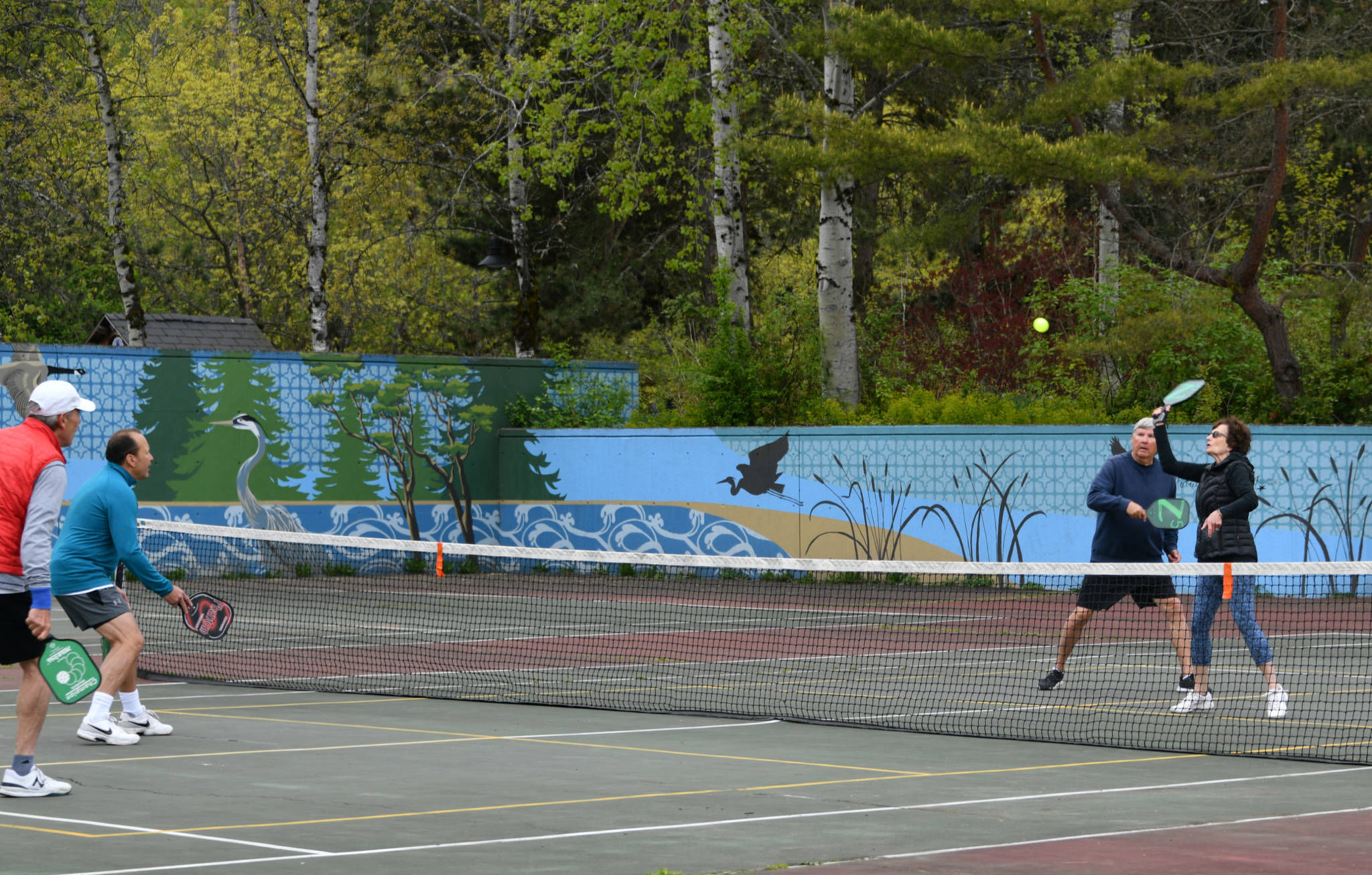 Pickleball players get in some action on the morning of April 27 at Luther Burbank Park. Carolyn Starr connects with the ball while her partner Tom Krazit covers. Their opponents are Van Rex Gallard, far left, and Tom Robinson. Andy Nystrom/ staff photo