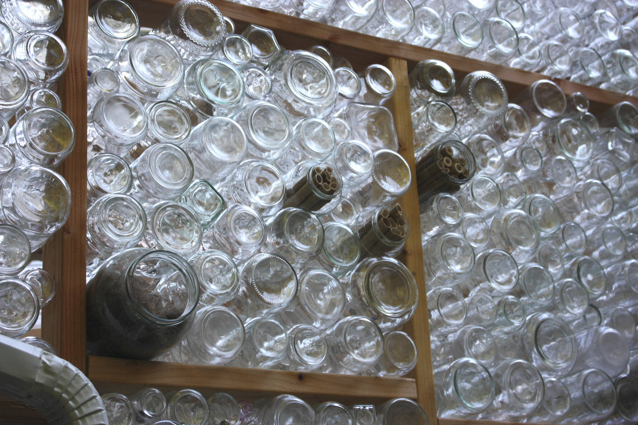 Some jars have materials to encourage birds and pollinating insects to nest in them. (photo by Cameron Sheppard)