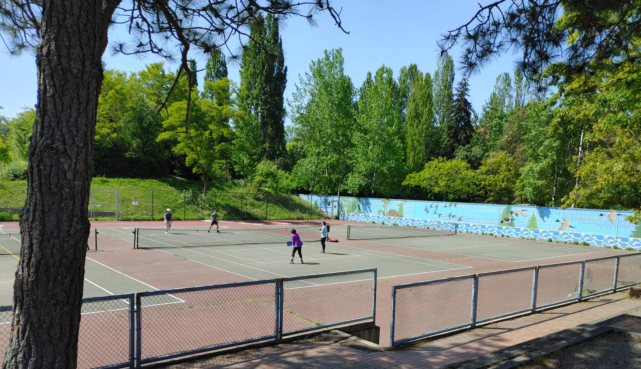 Pickleball players get in some action at Luther Burbank Park. Andy Nystrom/ staff photo