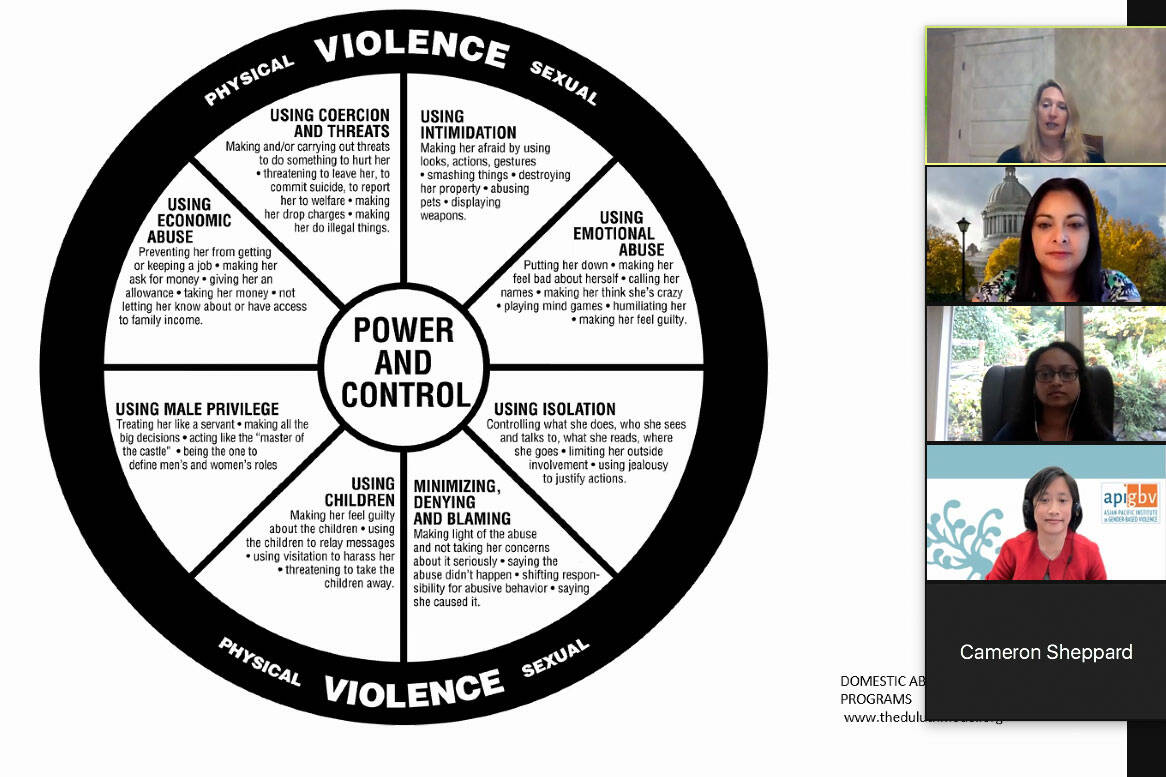 Abusive power and control diagram (Screenshot taken from Zoom meeting with advocates against domestic violence)