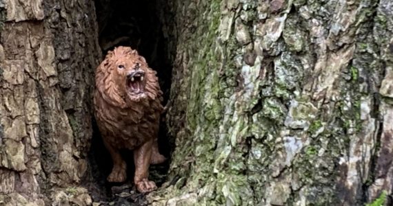 Greg Asimakoupoulos writes: “Seeing the tiny toy lion in an opening in that tree trunk reminded me that death does not have the final word in life.”