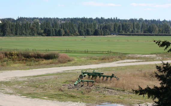 The Sammamish Valley is home to a collection of farms, wineries and tasting rooms. File photo
The Sammamish Valley is home to a collection of farms, wineries and tasting rooms. File photo