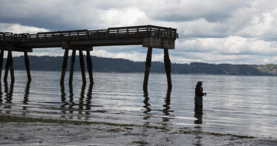 At Dash Point on June 16, 2022. Henry Stewart-Wood/Sound Publishing