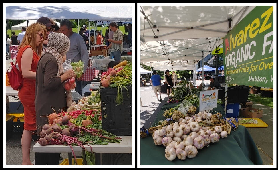 Mercer Island Farmers Market customers visit the Fernandez Farms booth, left, and the Alvarez Organic Farms booth, right, on June 26. The market is open in its 15th season from 10 a.m. to 3 p.m. Sundays now through September next to Mercerdale Park. For more information, visit <a href="https://www.mifarmersmarket.org/" target="_blank">https://www.mifarmersmarket.org/</a>. Andy Nystrom/ staff photos