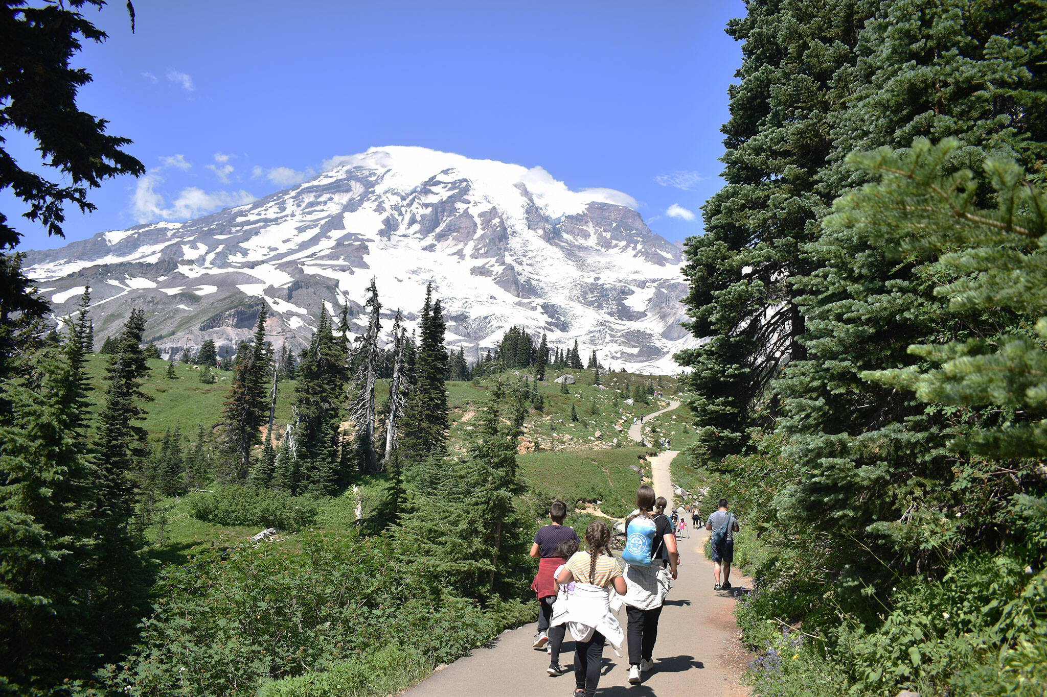 Best hikes paradise mt rainier online