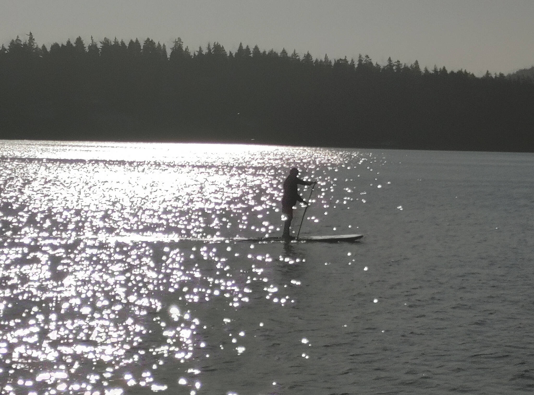 A paddle boarder cruises past the Mercer Island Luther Burbank Docks on the morning of Sept. 8. Andy Nystrom/ staff photo