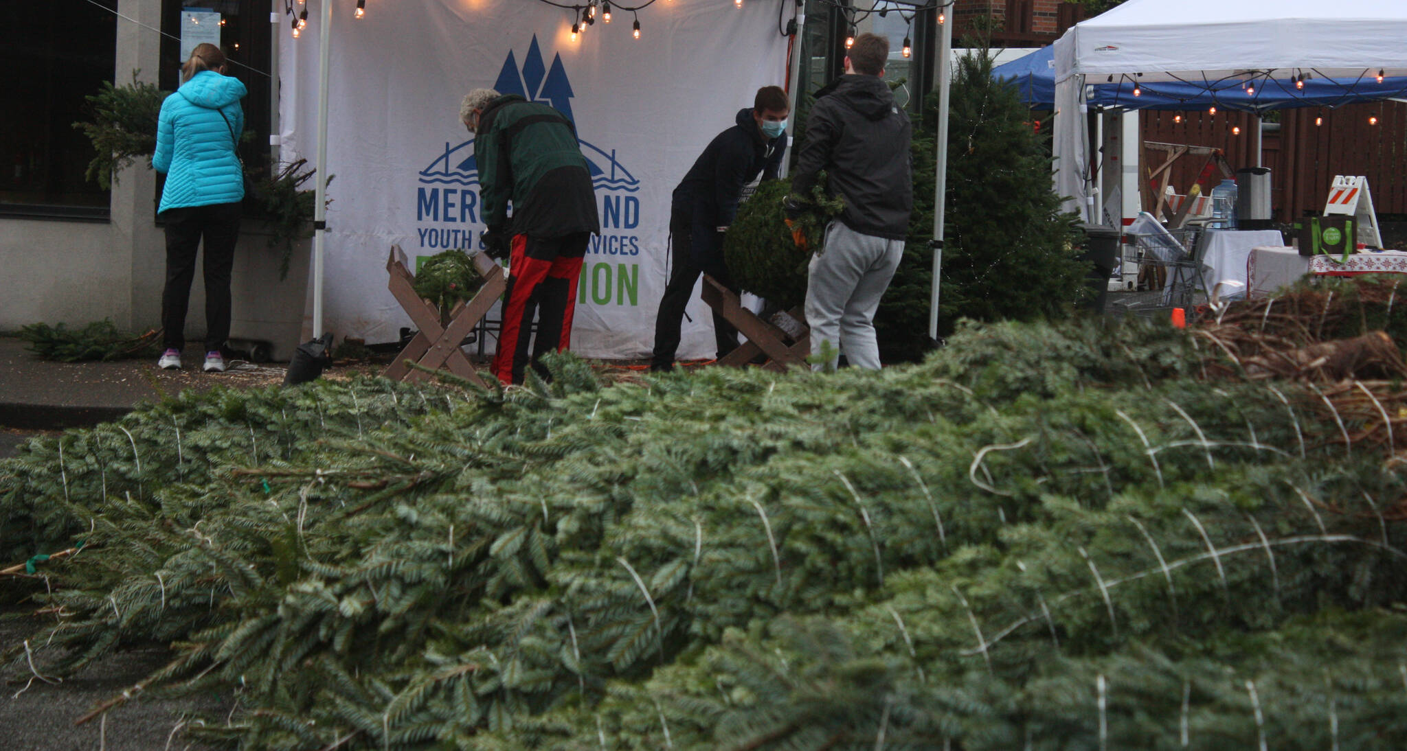 Volunteers work away at last year’s holiday tree lot. Andy Nystrom/ staff photo