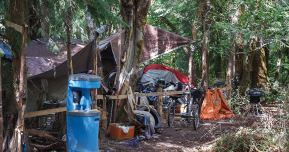 Homeless encampment in a wooded area in Auburn. (Sound Publishing file photo)