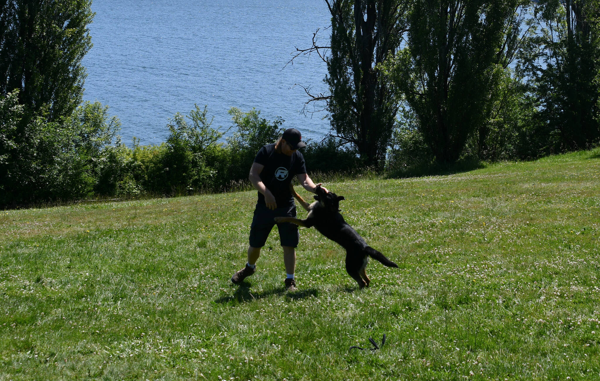 Duncan Redman plays with his German shepherd Lizzy on June 4 at Luther Burbank Park. Andy Nystrom/ staff photo