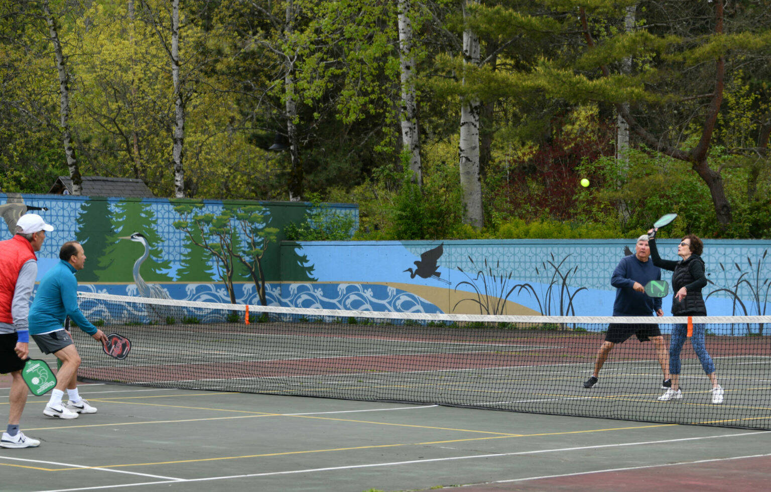 Pickleball players get in some action on the morning of April 27, 2021, at Luther Burbank Park. Carolyn Starr connects with the ball while her partner Tom Krazit covers. Their opponents are Van Rex Gallard, far left, and Tom Robinson. Andy Nystrom/ staff photo