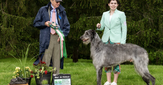 Elena Lill and her dog Mac won best junior handler at 2023 Scottish Deerhound National Specialty. (Photo by Turley Photography)