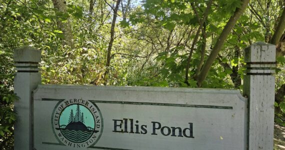 Ellis Pond on Mercer Island. (Courtesy Photo)