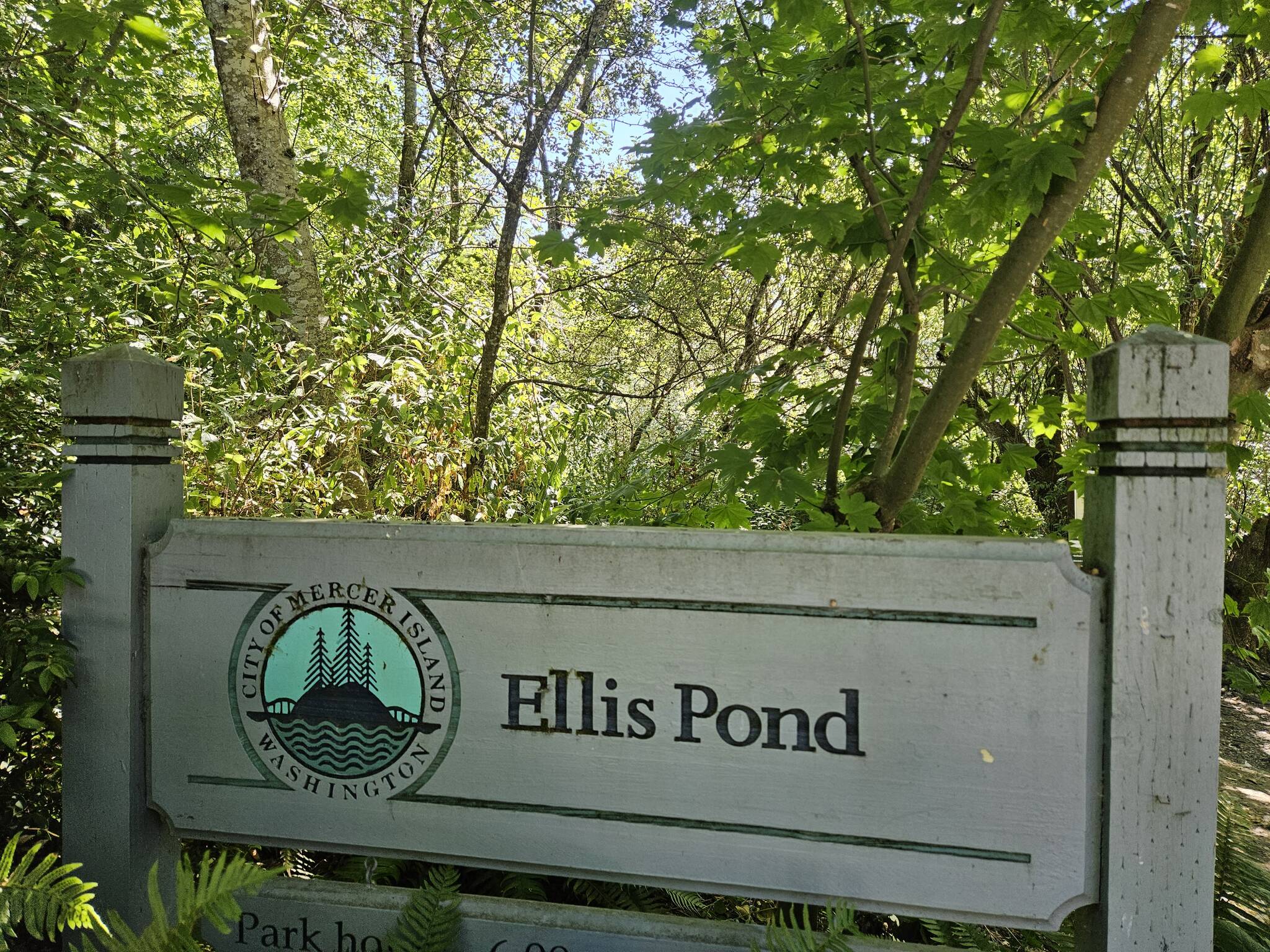 Ellis Pond on Mercer Island. (Courtesy Photo)