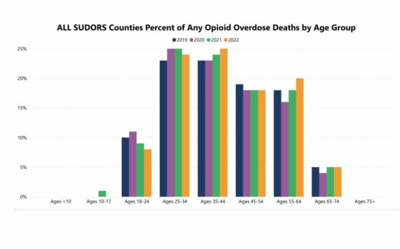 Screenshot of SUDORS from Dept. of Health website