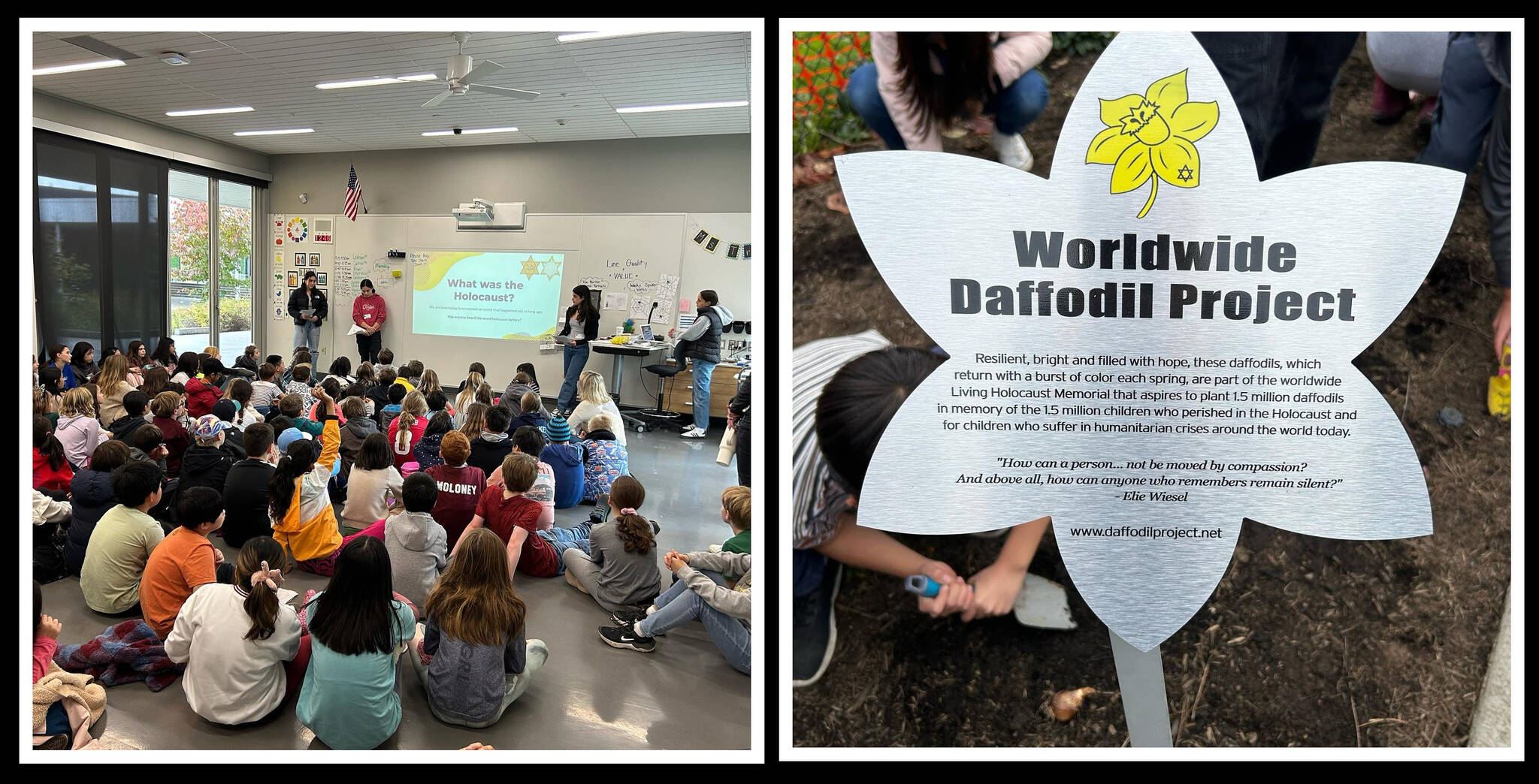 Mercer Island High School’s Holocaust Education Committee presented The Daffodil Project to fourth- and fifth-graders on Nov. 1 at Northwood Elementary School. Photos courtesy of the Mercer Island School District