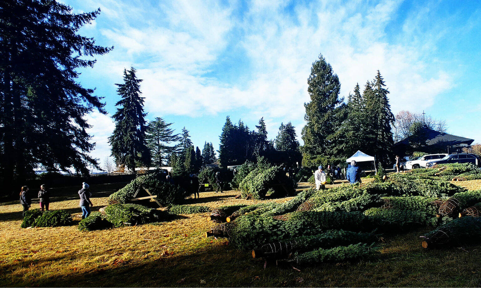Volunteers begin their shifts at the Mercer Island Holiday Tree Lot on Nov. 27, 2022 at Mercer Island Presbyterian Church. Reporter file photo