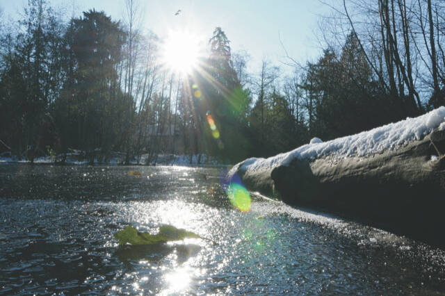 Ellis Pond. Reporter file photo