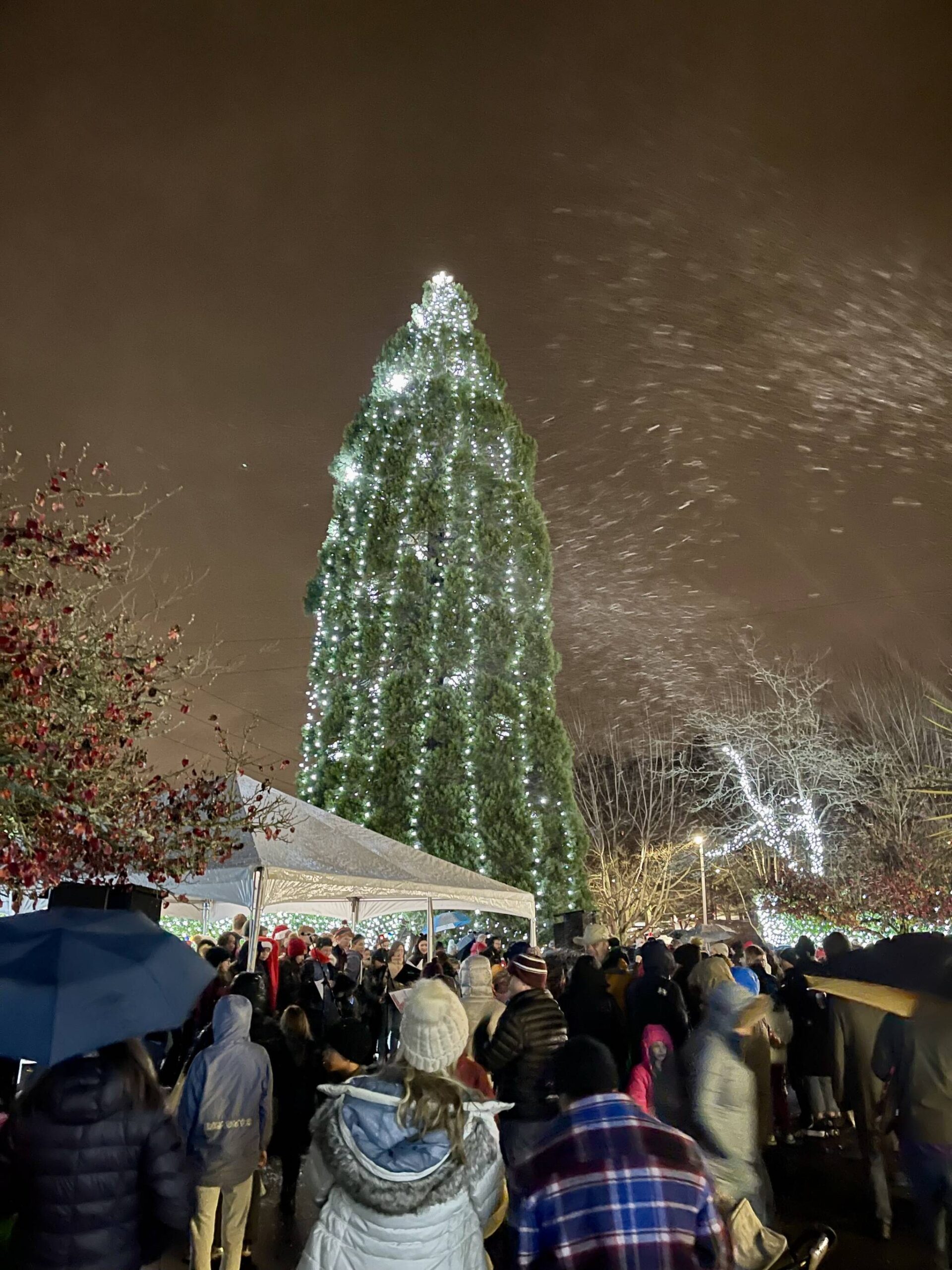On Dec. 1, Islanders hit the town for the citys tree lighting and Firehouse Munch at Mercerdale Park and Fire Station 91 (featuring the Mercer Island High School Bel Canto and Jazz choirs, coffee cart, snow, Dickens Carolers, Santa photos, activities and treats). Photo courtesy of the city of Mercer Island