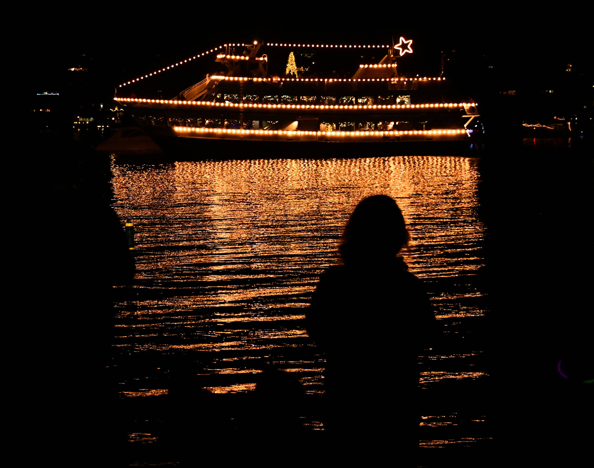 People check out the Argosy Christmas Ship on Dec. 17 at the beach area of Luther Burbank Park. Andy Nystrom/ staff photo