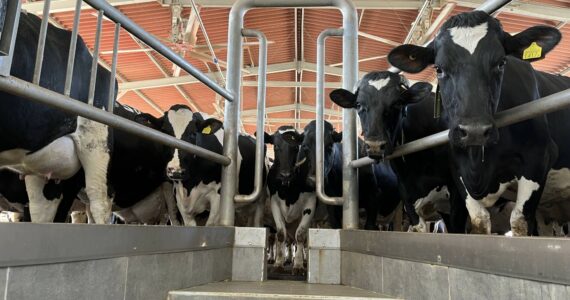 The Rebuilt Dairy Barn at Kibbutz Alumim. Photo Credit: Mindy Stern