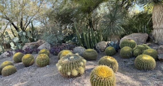 Photo courtesy of Mindy Stern