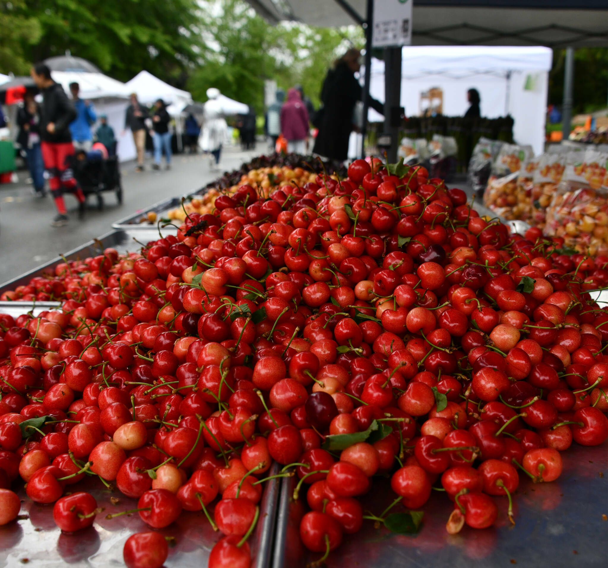 Cherries were in abundance at the EF Produce booth at last year’s Mercer Island Farmers Market. Andy Nystrom/ staff photo