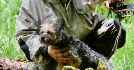 Curtis Lake sent this to me. He called it “Pippa waiting to be released for her run.” Courtesy photo