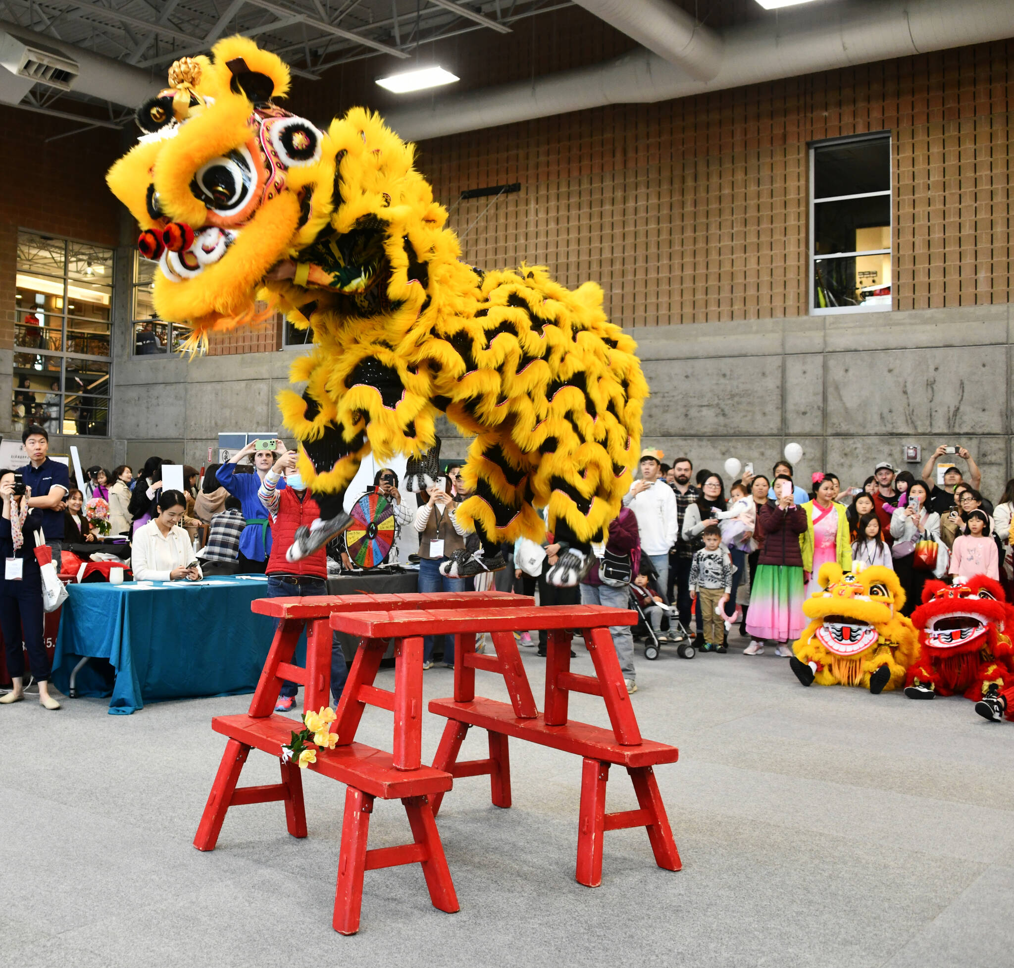 Members of Seattle’s Mak Fai Dragon & Lion Dance Association perform at the Mercer Island Chinese Association (MICA) and city of MI’s Mid-Autumn Festival Carnival on Oct. 5 at the MI Community and Event Center. Andy Nystrom/ staff photo