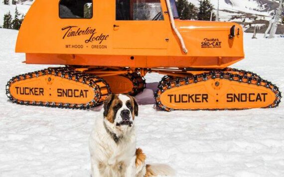Bruno Senior. Photo Courtesy of Timberline Lodge