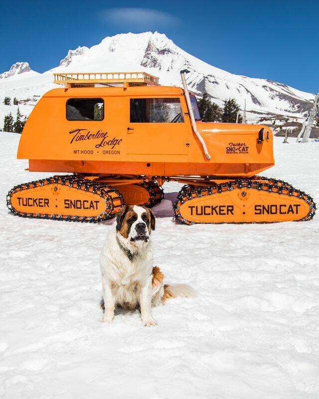 Shoulder season on Mount Hood, Oregon | Meanderings by Mindy Stern