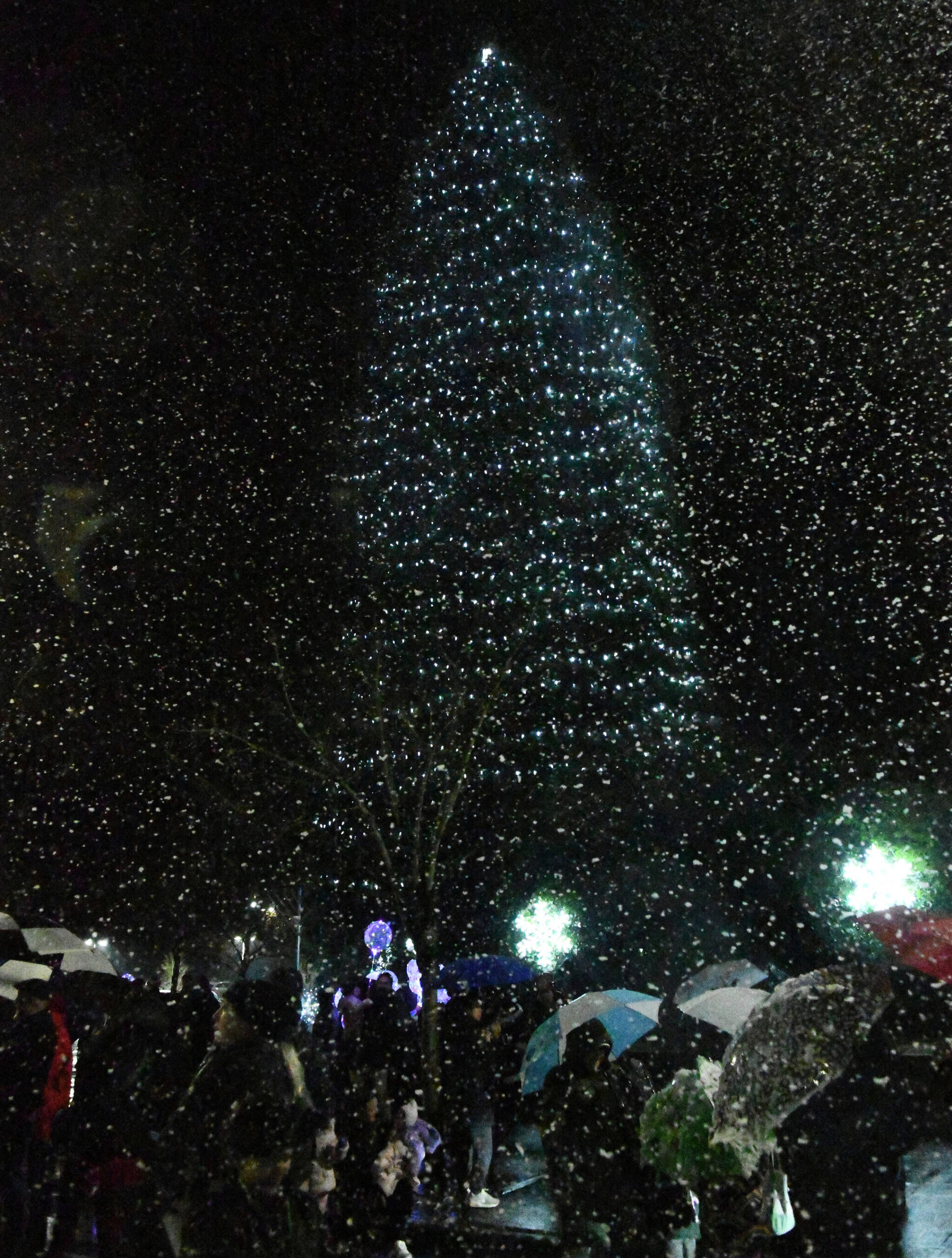 Mercer Islanders gather together for the city’s Annual Holiday Tree Lighting of the huge sequoia on Dec. 4 at Mercerdale Park and on Southeast 32nd Street between 77th Avenue Southeast and 78th Avenue Southeast. The event featured simulated snowfall courtesy of SplashTimesFun, performances by the Mercer Island High School Bel Canto Choir and Creation Dance Studio, vendor booths and an Eastside Fire & Rescue truck for attendees to visit. Andy Nystrom/ staff photo