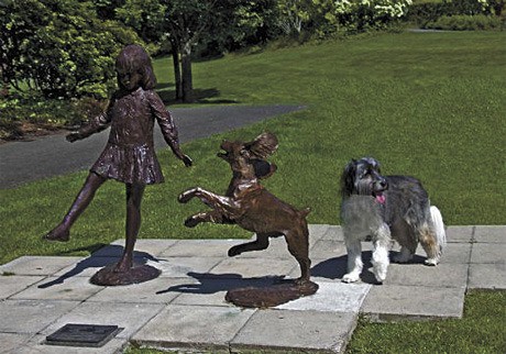 In this photo which won for best overall picture