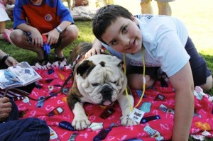 Campers at Camp Korey enjoy visits from therapy animals during their visit. The camp is currently looking for animals and handlers willing to come visit the children.
