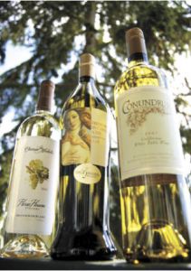 A crisp sauvignon blanc from Horse Heaven Hills vineyard in Washington